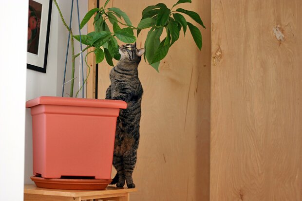2007_11_16%2040.jpg