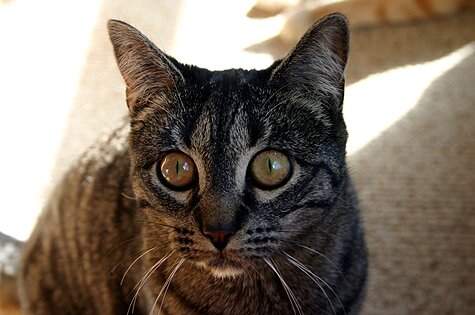 2005-02-27 ollie3.jpg